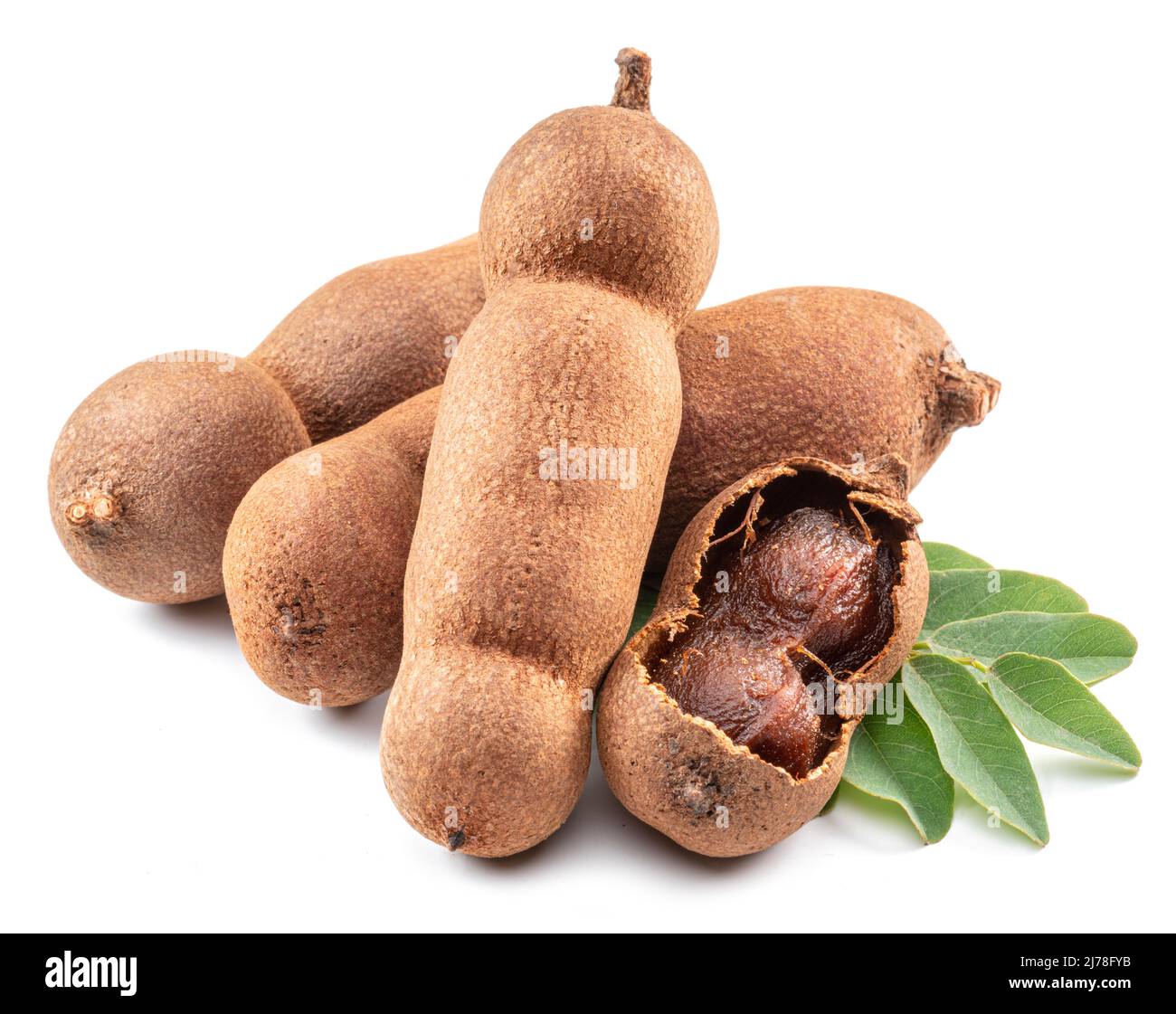 Ripe tamarind fruit pods and leaves isolated on white background Stock