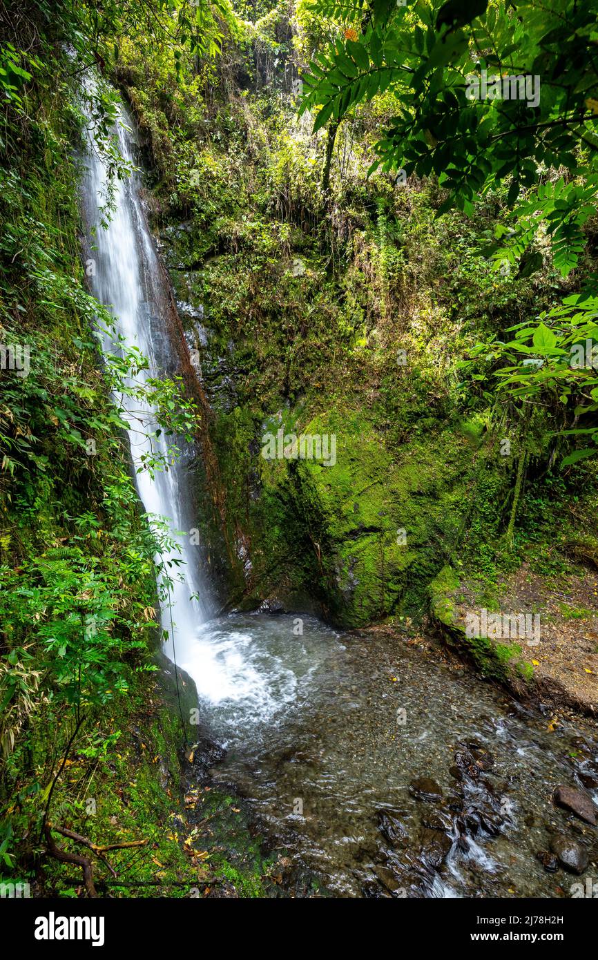 Cascada El Palto. Waterfall in Vilcabamba. Tropical Green Rainforest. Loja,  Ecuador. South America Stock Photo - Alamy
