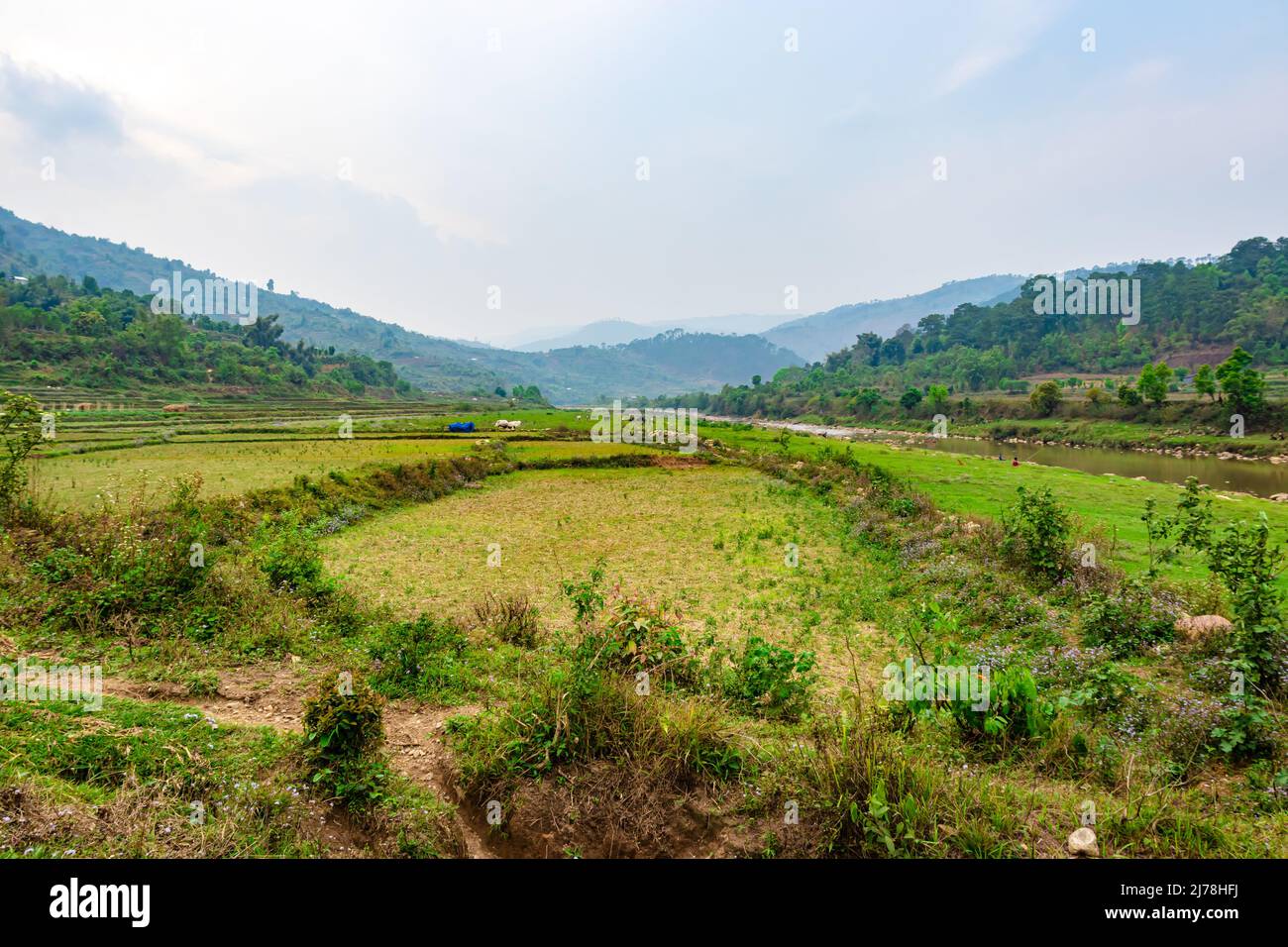 mountainside agriculture farming fields with cloudy sky at morning from flat angle Stock Photo