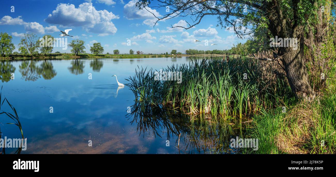 Beauty morning sky view hi-res stock photography and images - Alamy