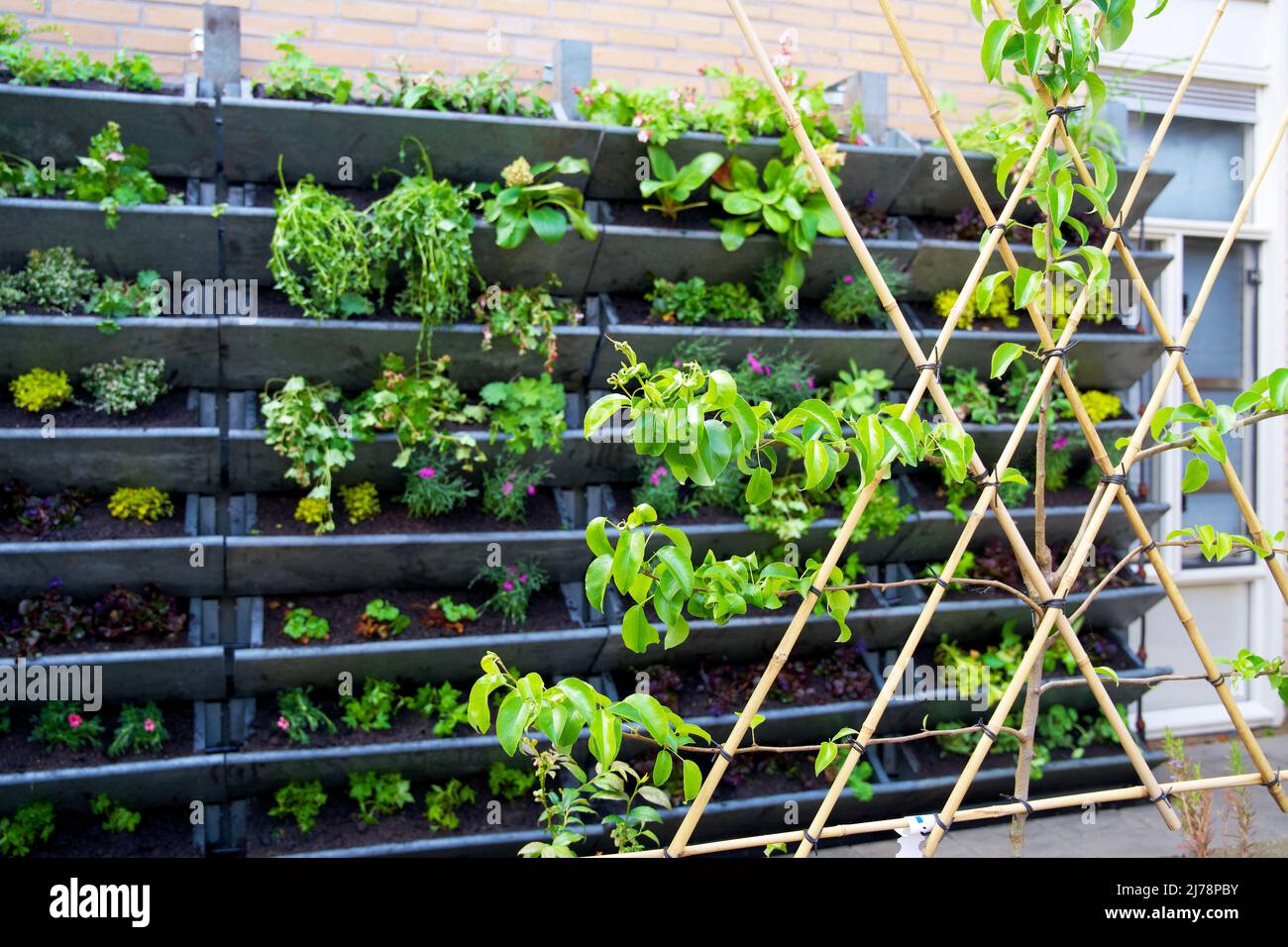 Beautiful view of Apartment Wall Greening Systems