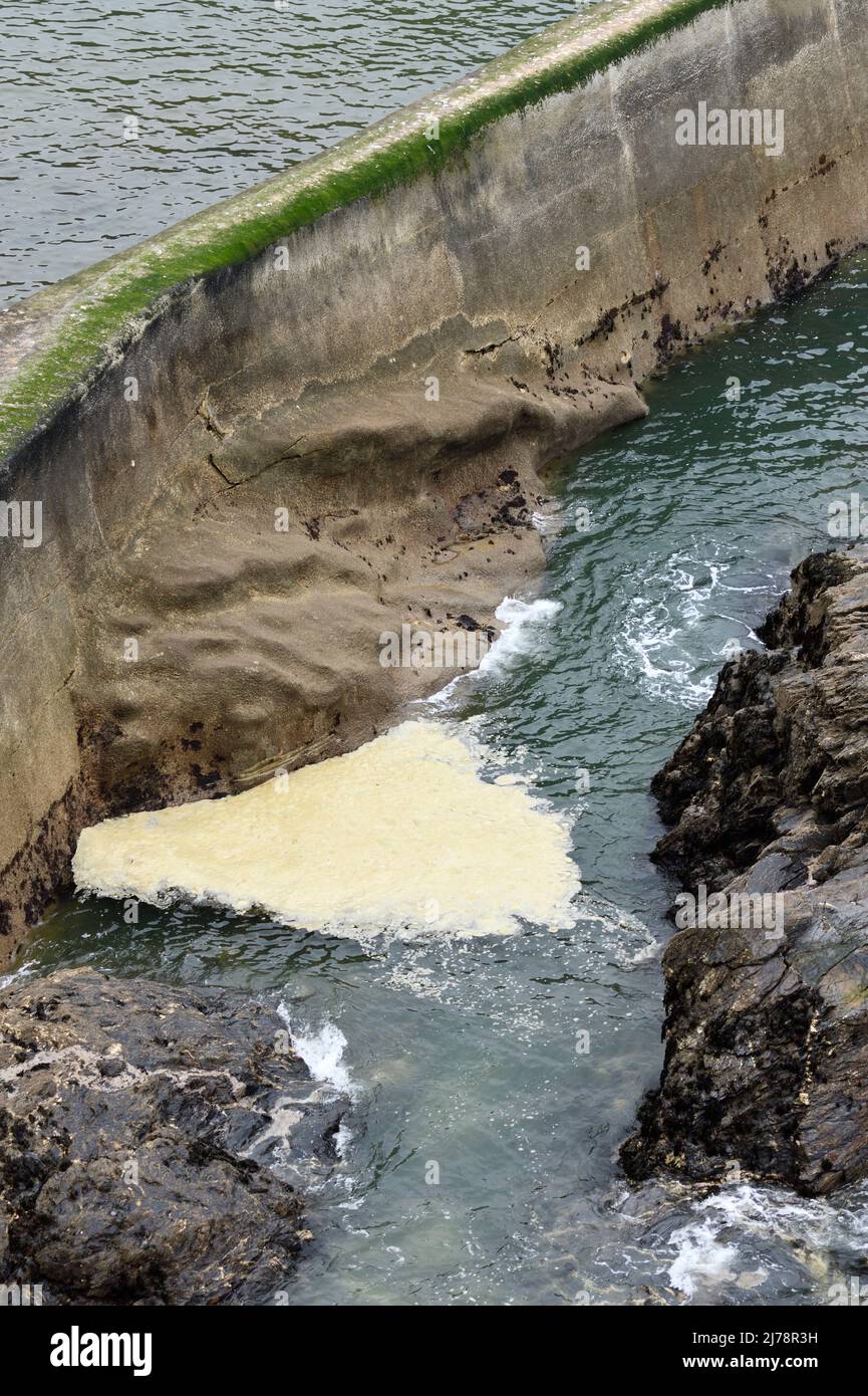 Harbour Wall Port Issac Cornwall England uk Stock Photo Alamy