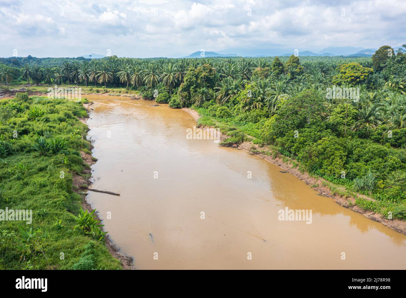 Muddy brown jungle stream meanders through the untouched Rain forest at Bentong, Pahang, Malaysia. Aerial view of a river in the Krau Wildlife Reserve Stock Photo