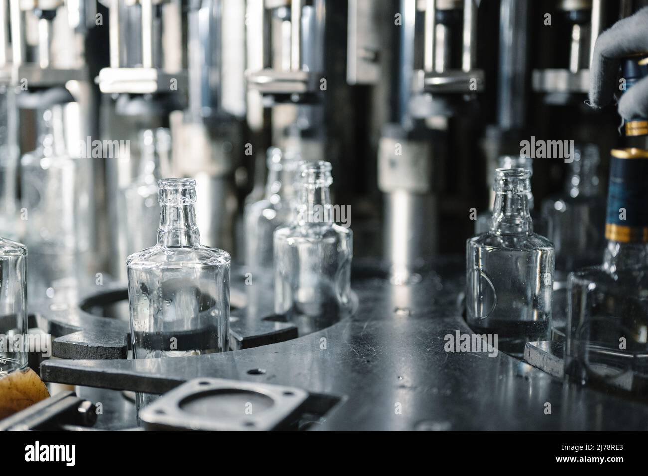 Filling glass bottles with liquid. Stock Photo
