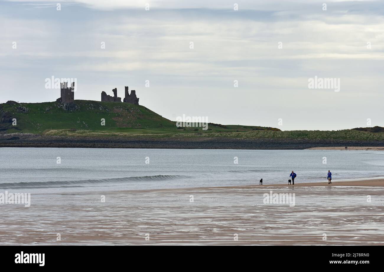 Atmospheric view of Dunstanburgh castle from Embleton bay, Northumberland Stock Photo