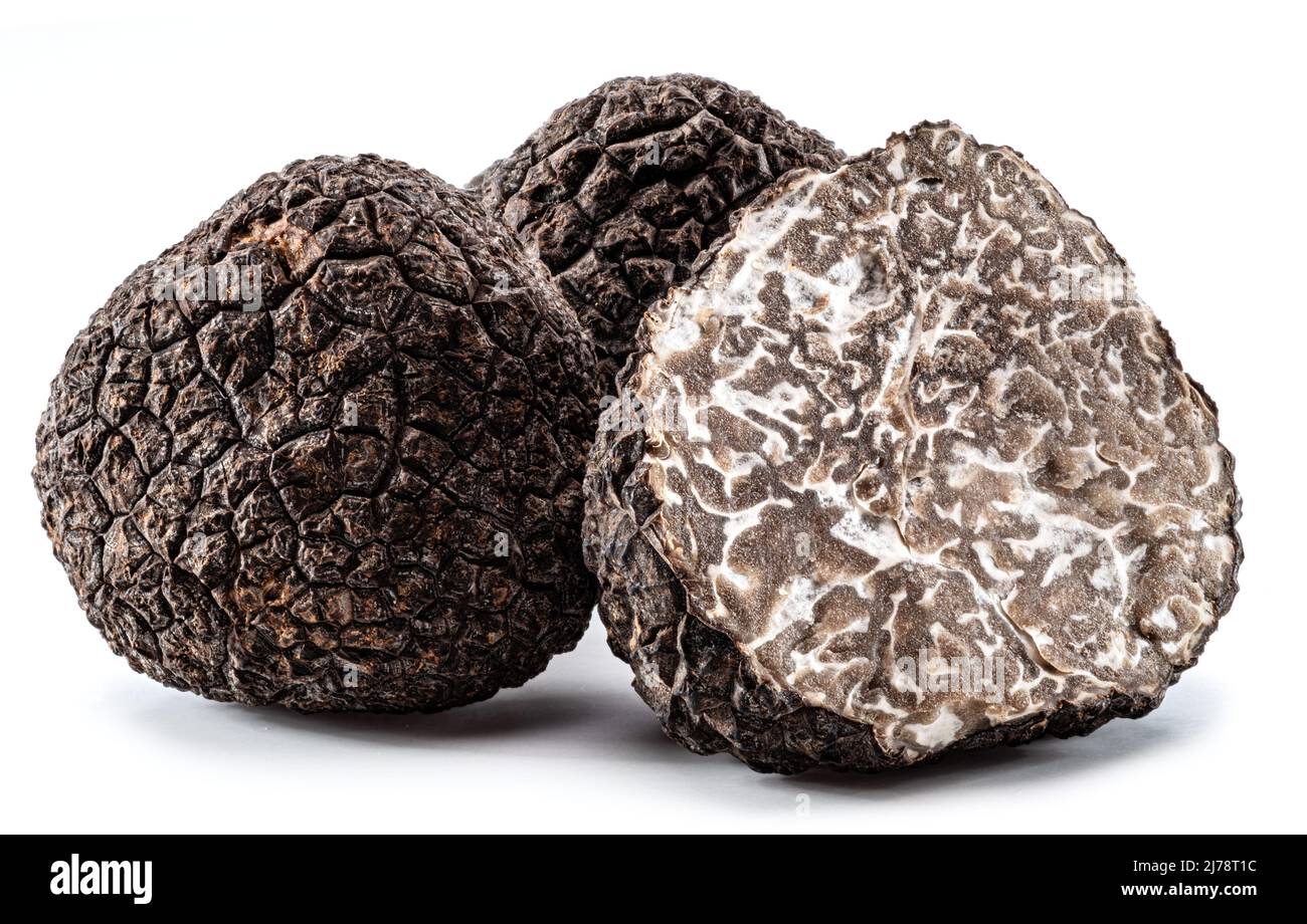 Black winter truffles and truffle cross section on white background. The most famous of the