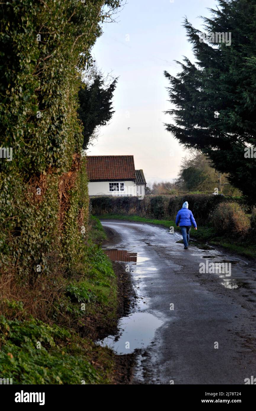 solitary woman walking along wet muddy country road broome norfolk england Stock Photo