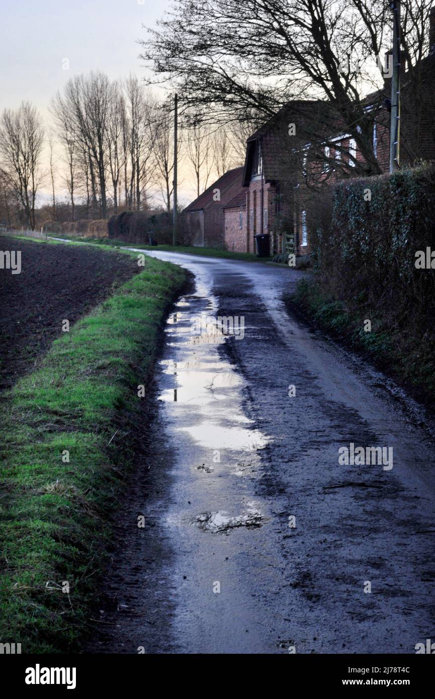 rural wet muddy country road ellingham norfolk england Stock Photo
