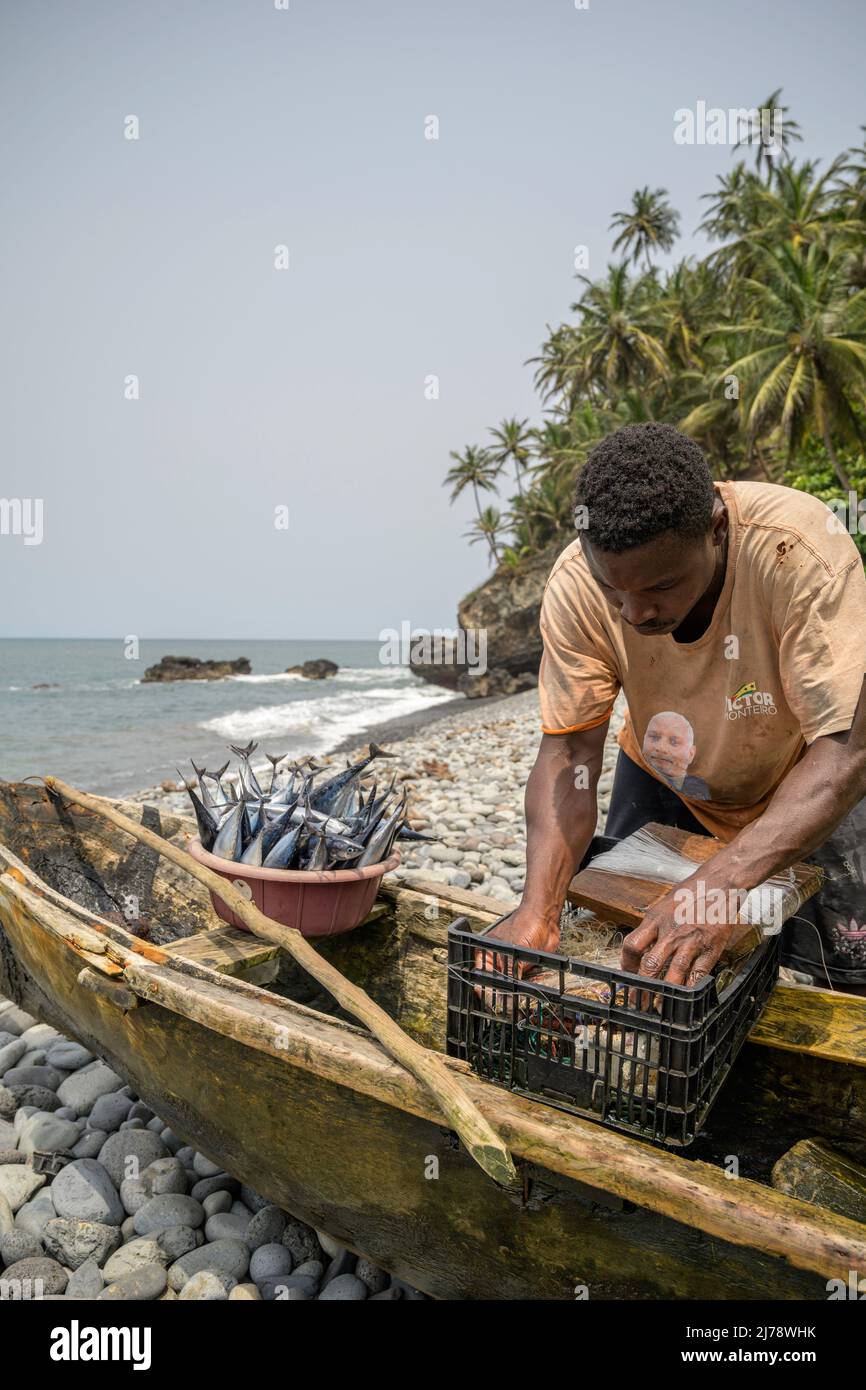 Fisherman collecting the catch of the day after a hard day of fishing. Stock Photo
