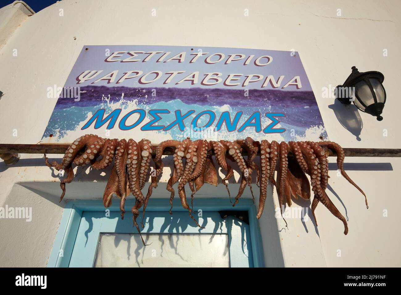 Octopus drying under the sun in Naousa village, Paros, Cyclades, Greece Stock Photo