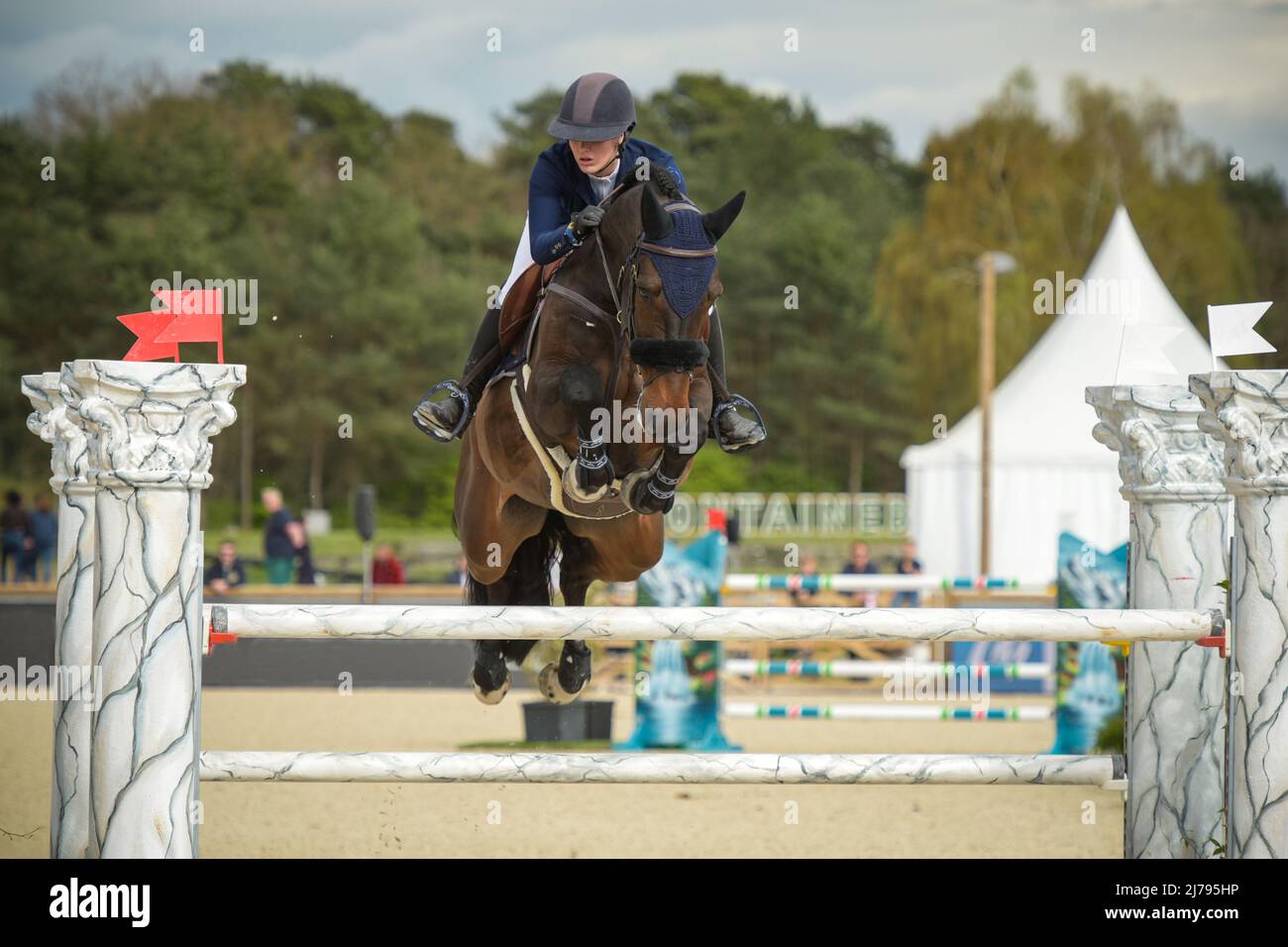 view on an equestrian show jumping competition in the city of Fontainebleau Stock Photo Alamy