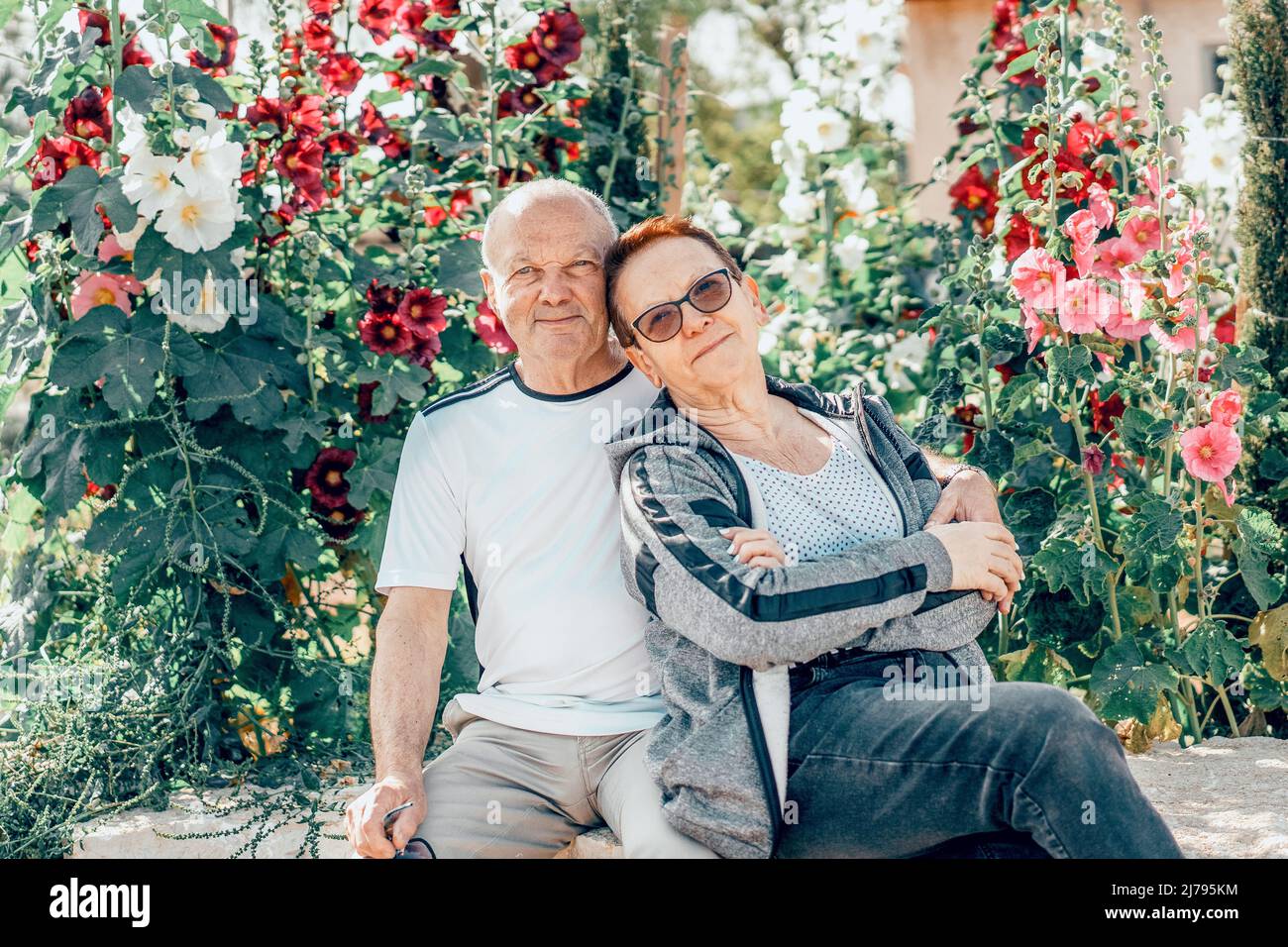 Elderly senior couple embracing in summer park. Old couple is hugging and sitting in the backyard. Stock Photo