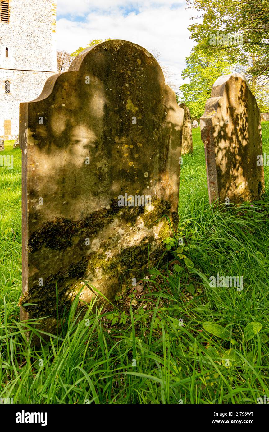 Lichen encrusted headstones, probably dating back to the 19th Century. Stock Photo