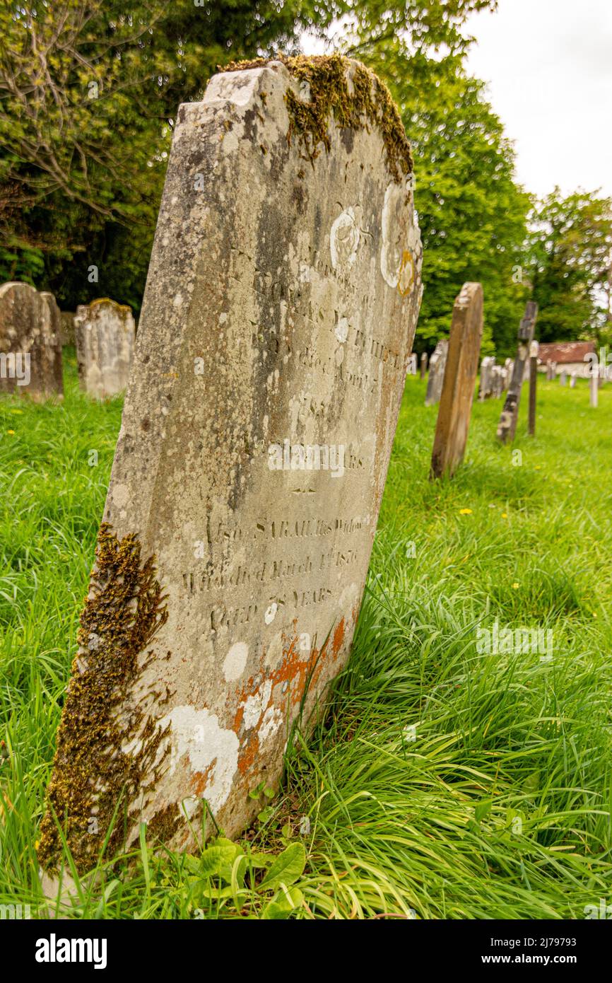 A line of Lichen encrusted headstones, probably dating back to the 19th Century. Stock Photo