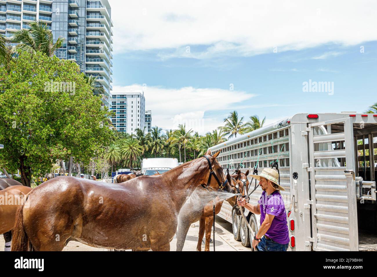 Miami Beach Florida Beach Polo World Cup Miami annual event ponies horses trailer W South Beach Hotel Collins Park hose hosing cooling down off worker Stock Photo
