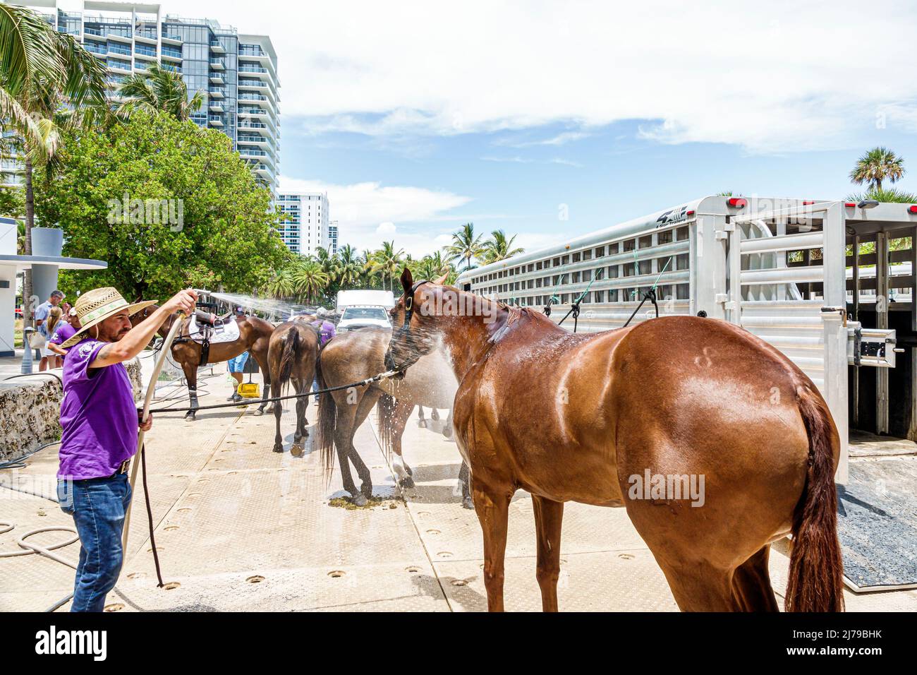 Miami Beach Florida Beach Polo World Cup Miami annual event ponies horses trailer W South Beach Hotel Collins Park hose hosing cooling down off worker Stock Photo