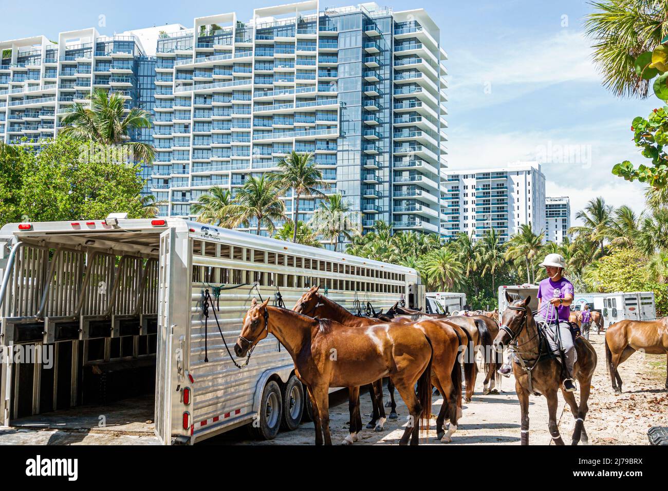 Miami Beach Florida Beach Polo World Cup Miami annual event ponies horses trailer W South Beach Hotel Collins Park Stock Photo