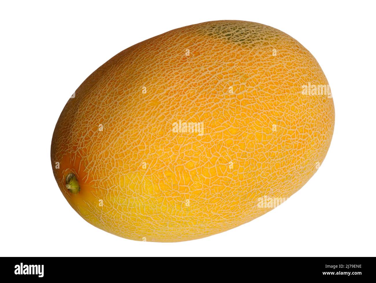 One yellow ripe juicy delicious melon isolated on white background