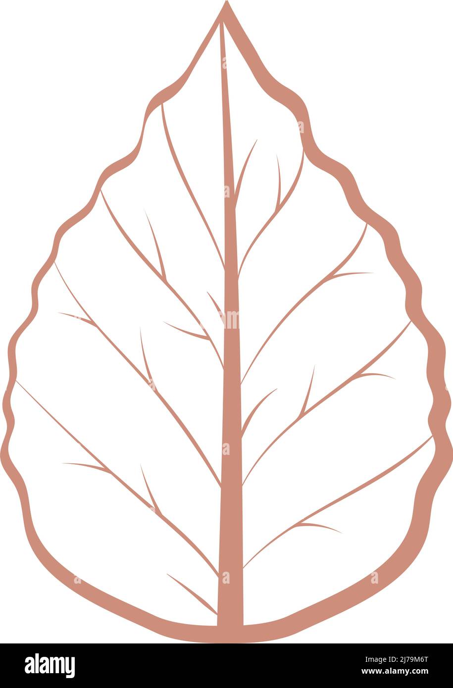 leaf nature icon Stock Vector Image & Art - Alamy