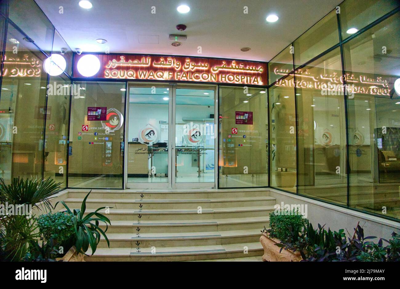 Falcon hospital doha hi-res stock photography and images - Alamy