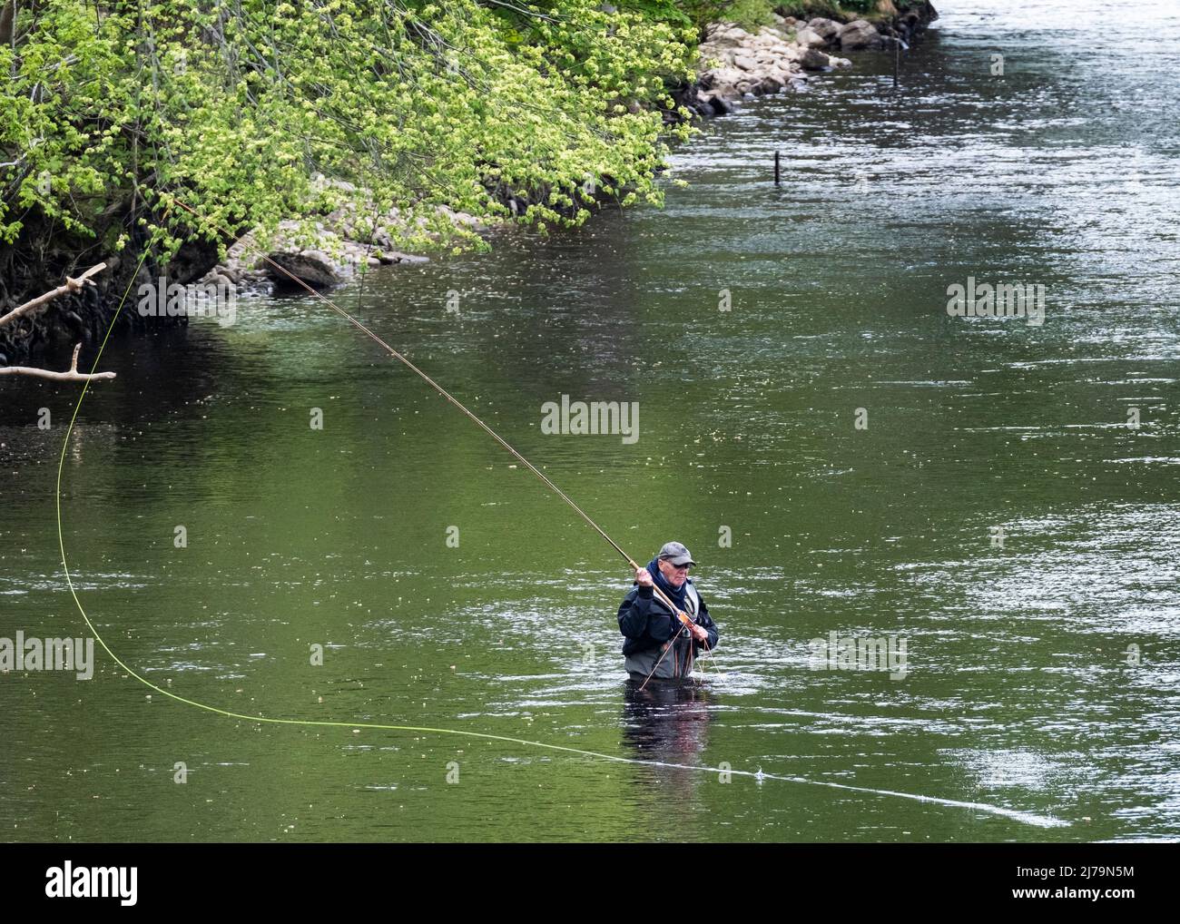 Fisherman standing in the River Tummel at Pitlochry, Perthshire, Scotland. Stock Photo