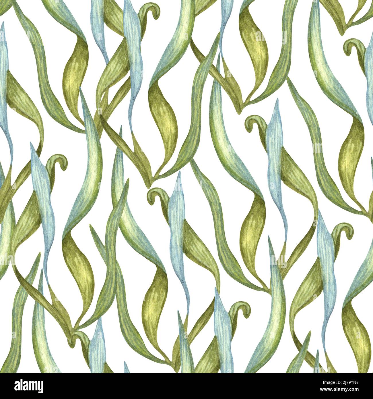 Seaweed decor hi-res stock photography and images - Page 13 - Alamy