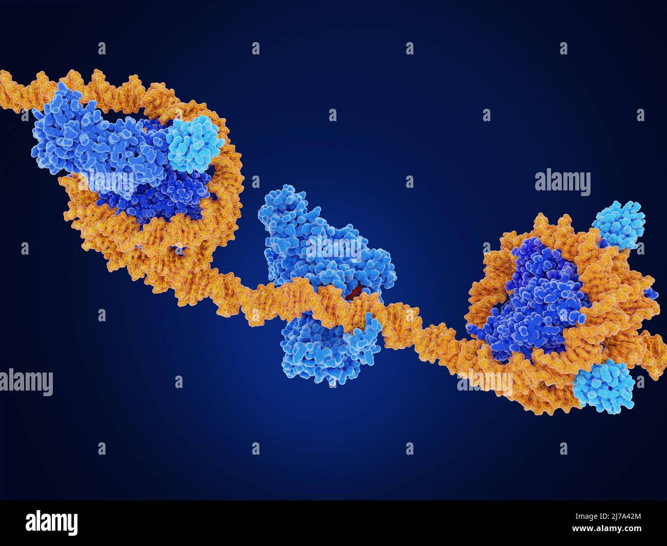 Epigenetic modifications, molecular model Stock Photo - Alamy