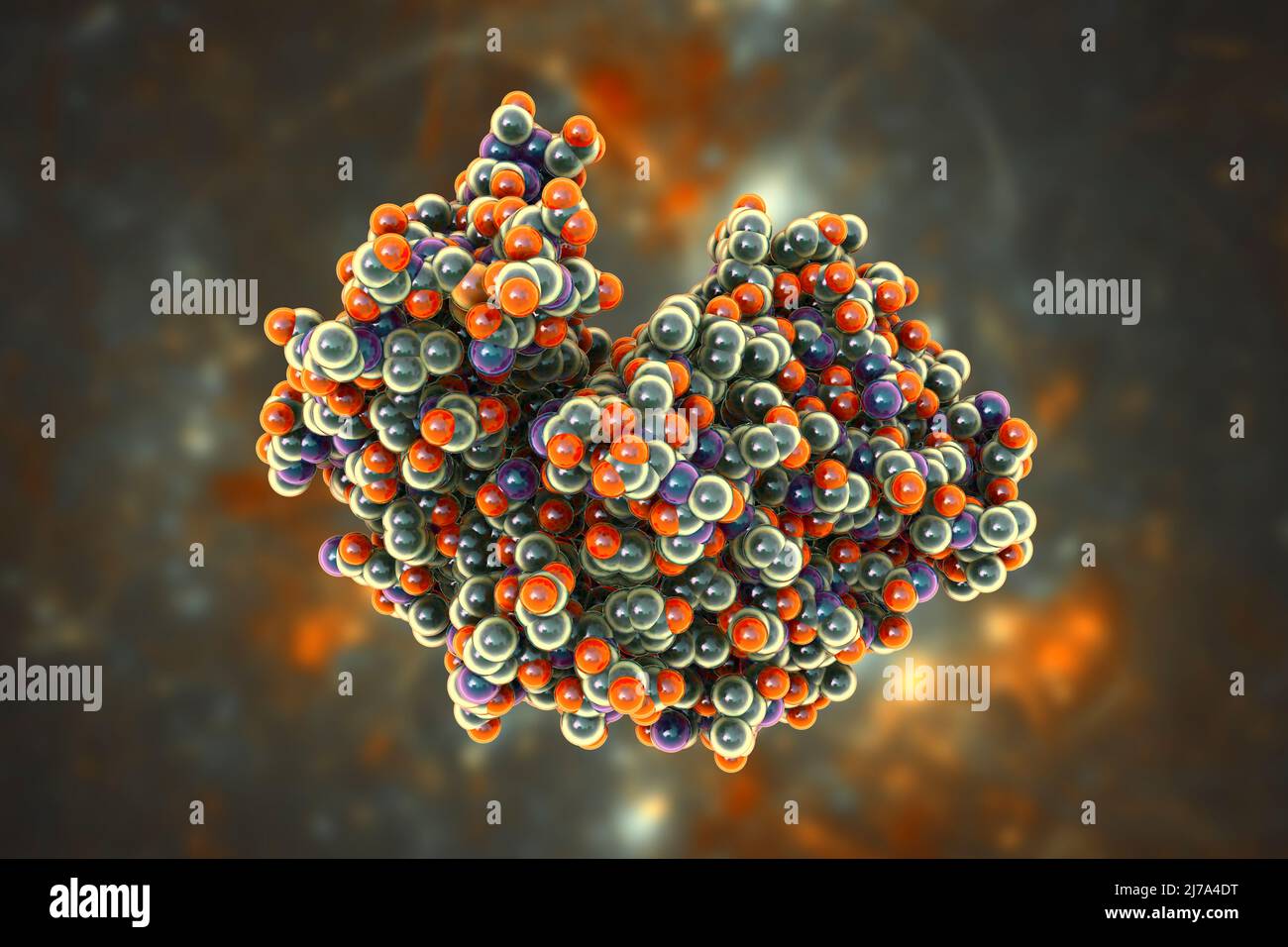 Pepsin stomach enzyme molecule, illustration Stock Photo Alamy