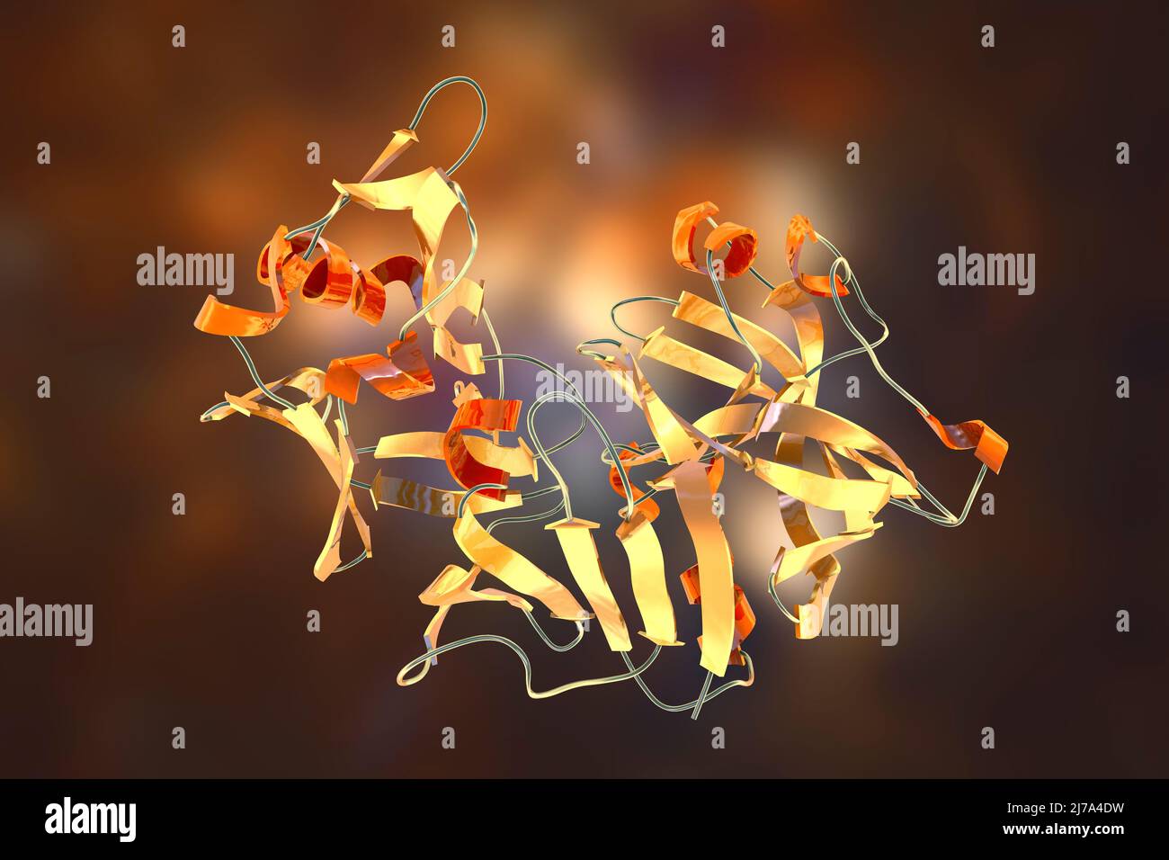 Pepsin stomach enzyme molecule, illustration Stock Photo Alamy