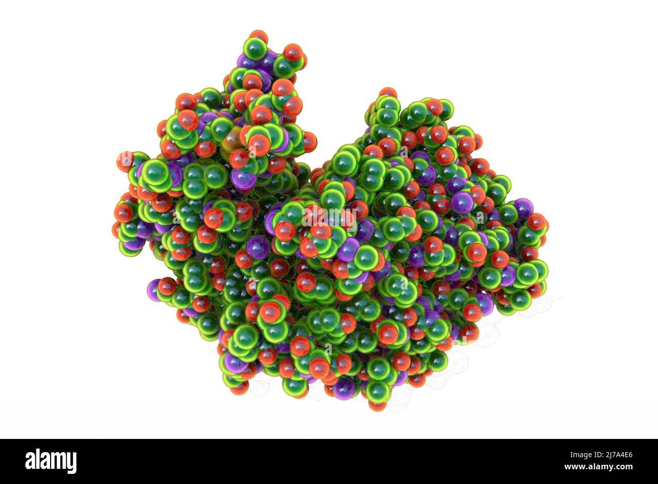 Pepsin stomach enzyme molecule, illustration Stock Photo Alamy