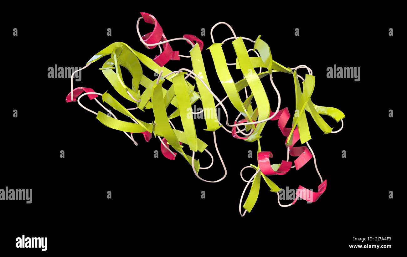 Pepsin stomach enzyme molecule, illustration Stock Photo Alamy