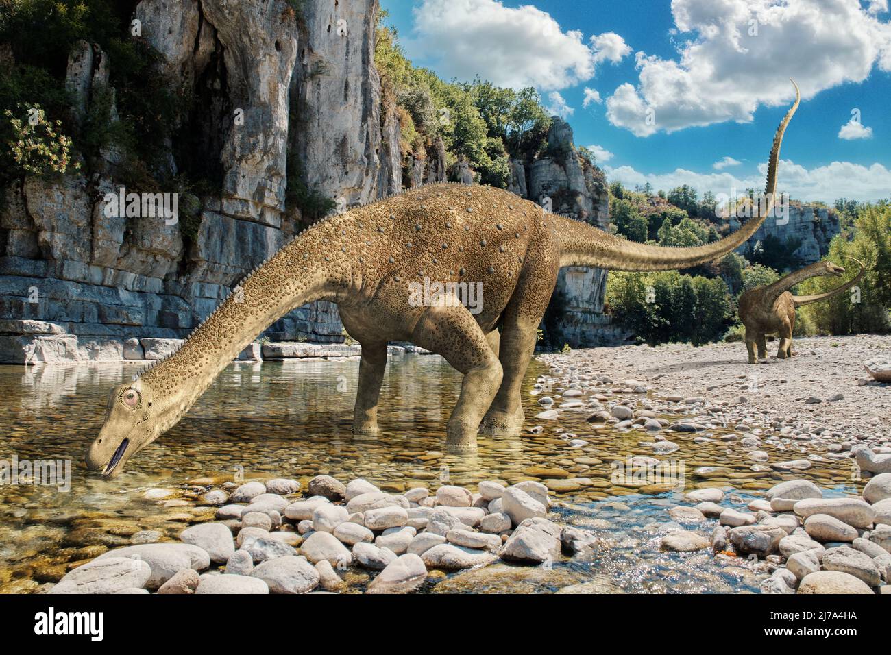 Saltasaurus dinosaur, illustration Stock Photo