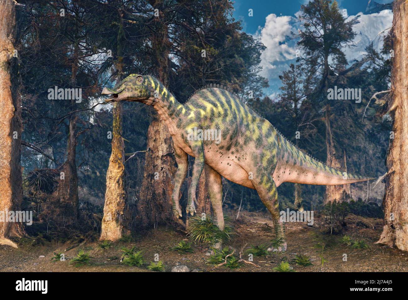 Shantungosaurus dinosaur, illustration Stock Photo