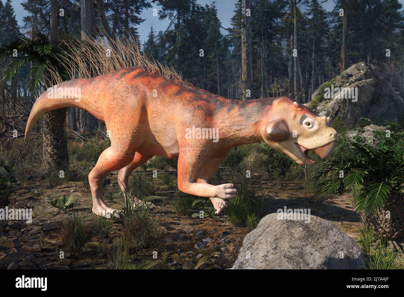 Psittacosaurus dinosaur, illustration Stock Photo