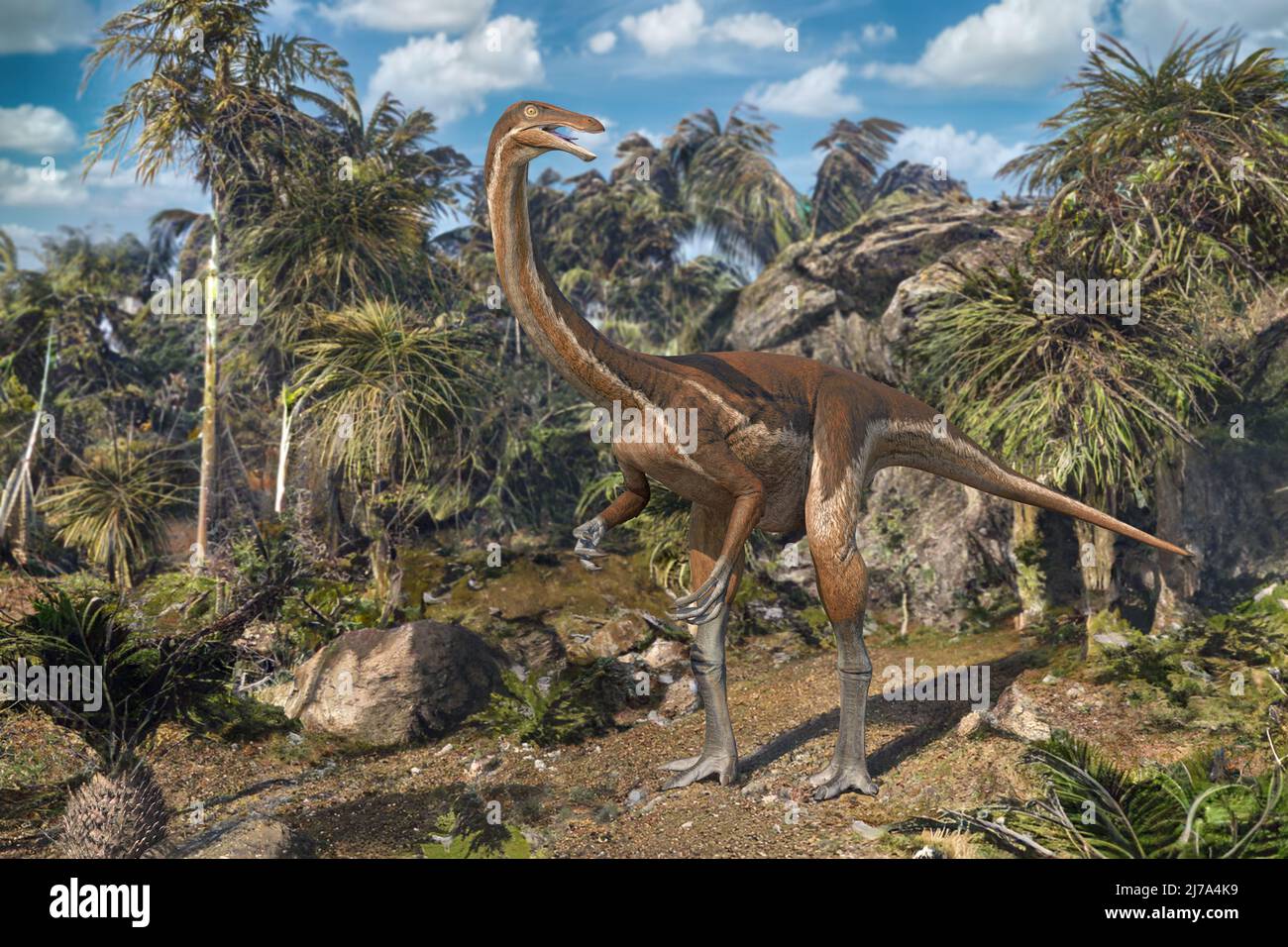 Gallimimus dinosaur, illustration Stock Photo