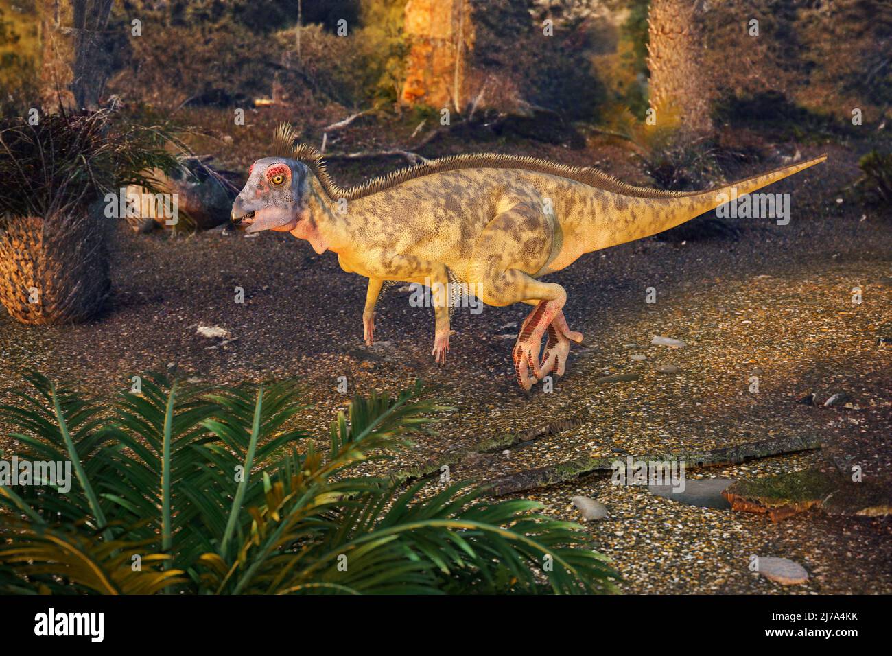Hypsilophodon dinosaur, illustration Stock Photo