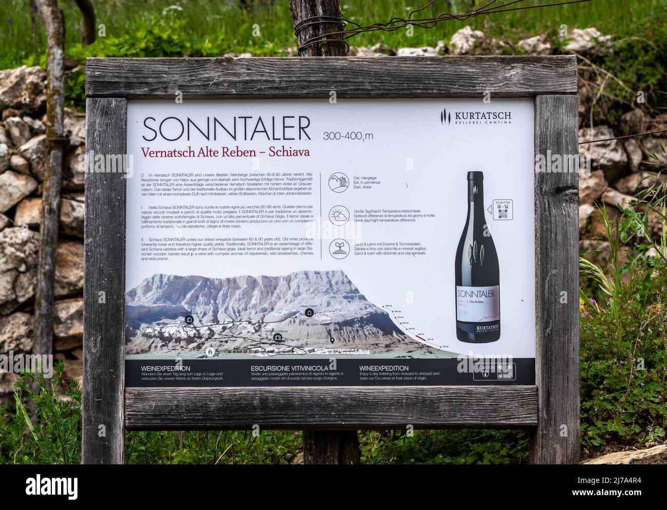 vineyards and tourist information sign in the South Tyrol Region, in northern Italy, Kurtatsch, may 1, 2022 Stock Photo