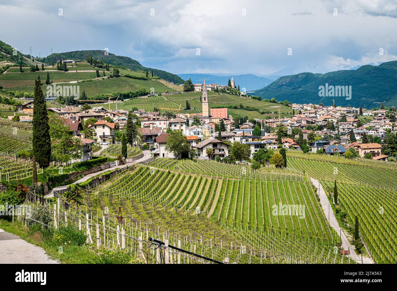 Tramin Village along the wine rote. Tramin is the winegrowing village