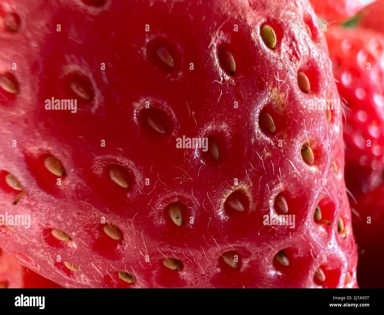 Macro Photograph of Strawberries Stock Photo