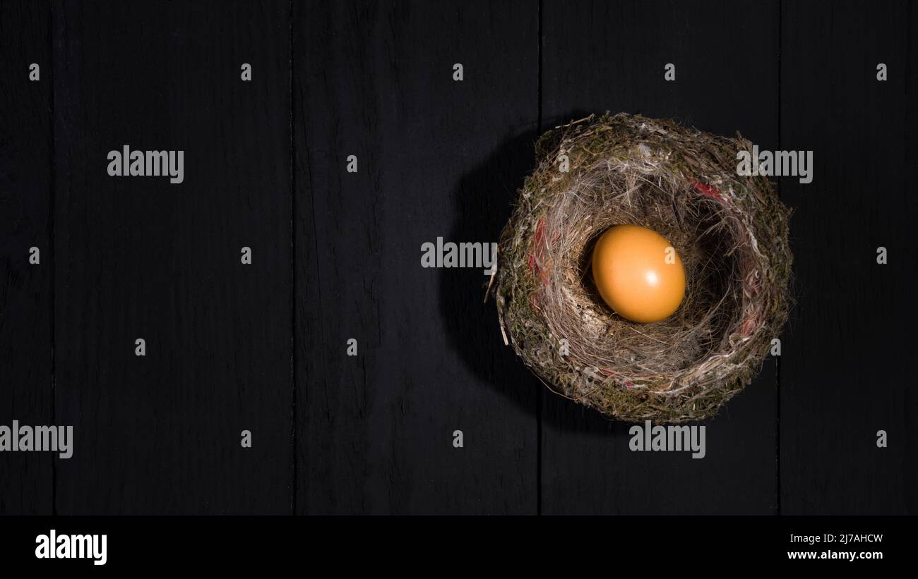 Bird Egg in Nest on Dark Wooden Table - Banner of Golden Egg ...