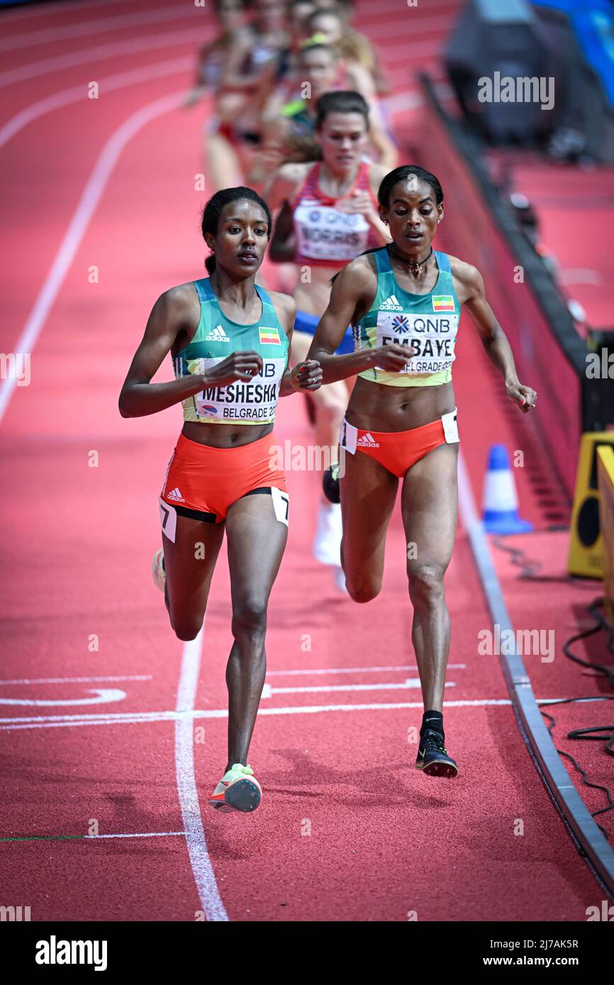 Axumawit Embaye and Hirut Meshesha participating in the Belgrade 2022 World Indoor Championships in the 1500 meters. Stock Photo