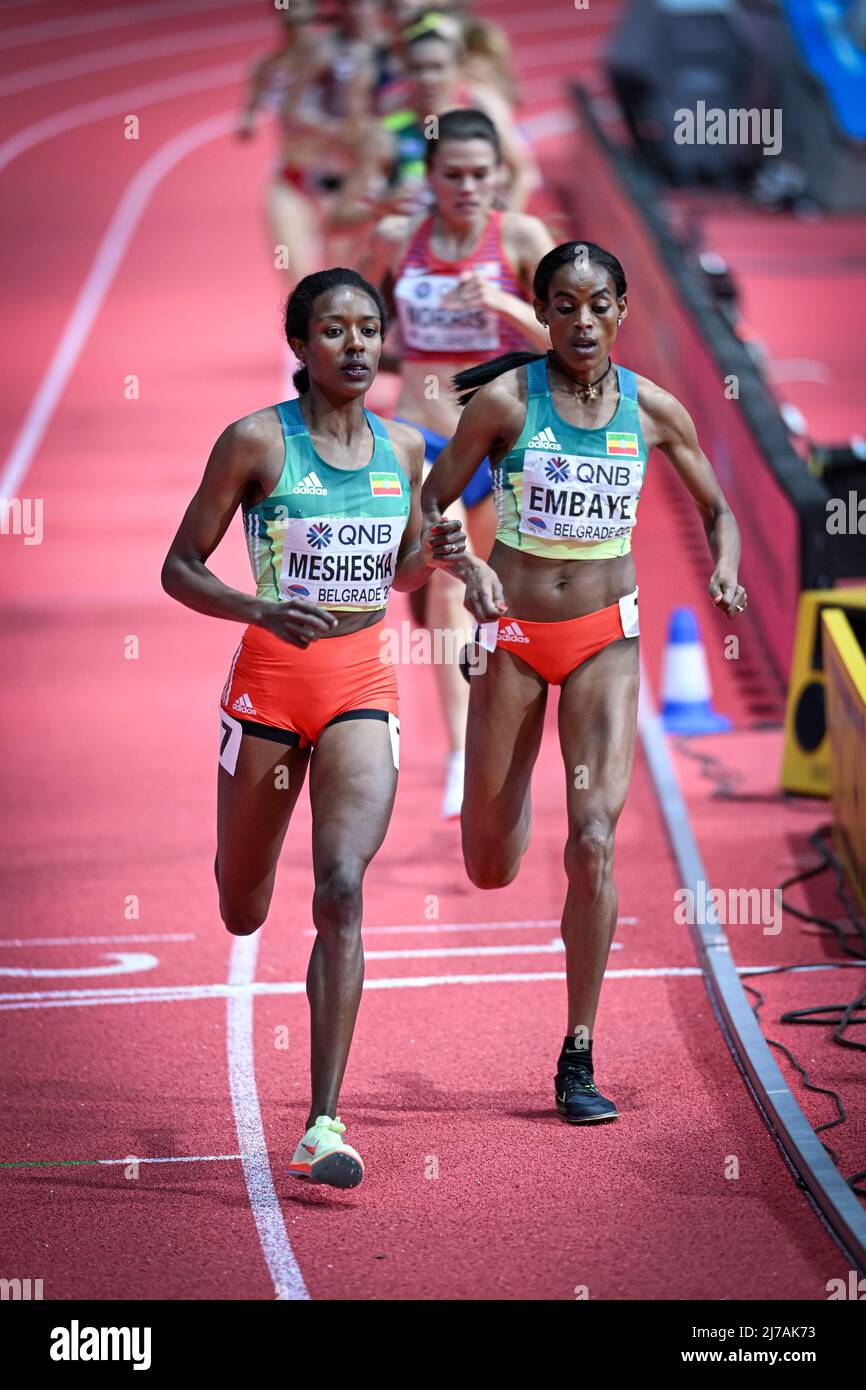 Axumawit Embaye and Hirut Meshesha participating in the Belgrade 2022 World Indoor Championships in the 1500 meters. Stock Photo