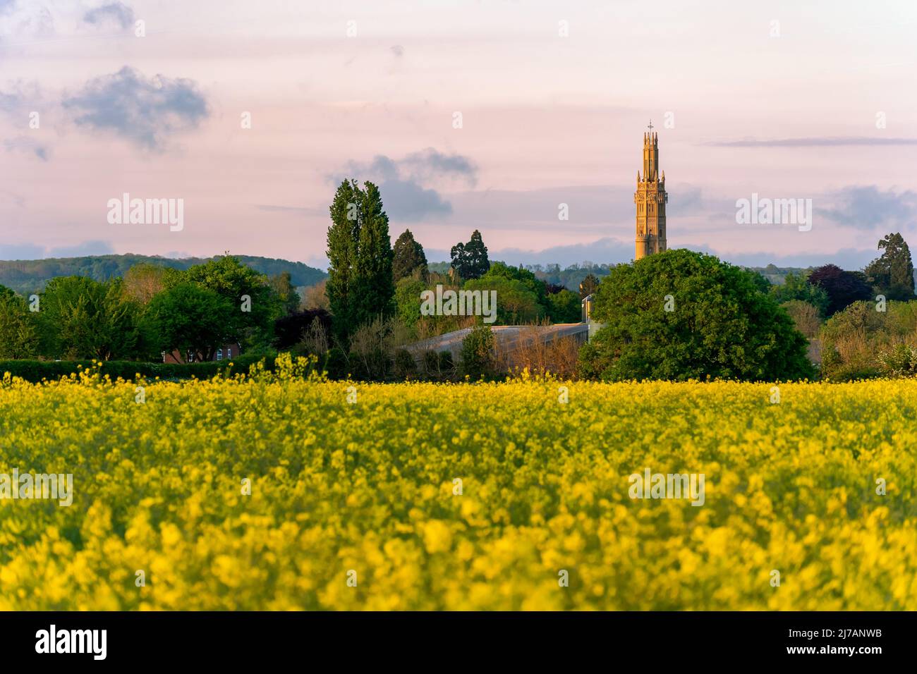 Hadlow, Kent, England. 07 May 2022. The beautiful oilseed fields glow in the setting sun in front of a backdrop of Hadlow Tower, a grade I listed Folly,  in the lush county of Kent, known as the garden of England, ©Sarah Mott / Alamy Live News, Stock Photo