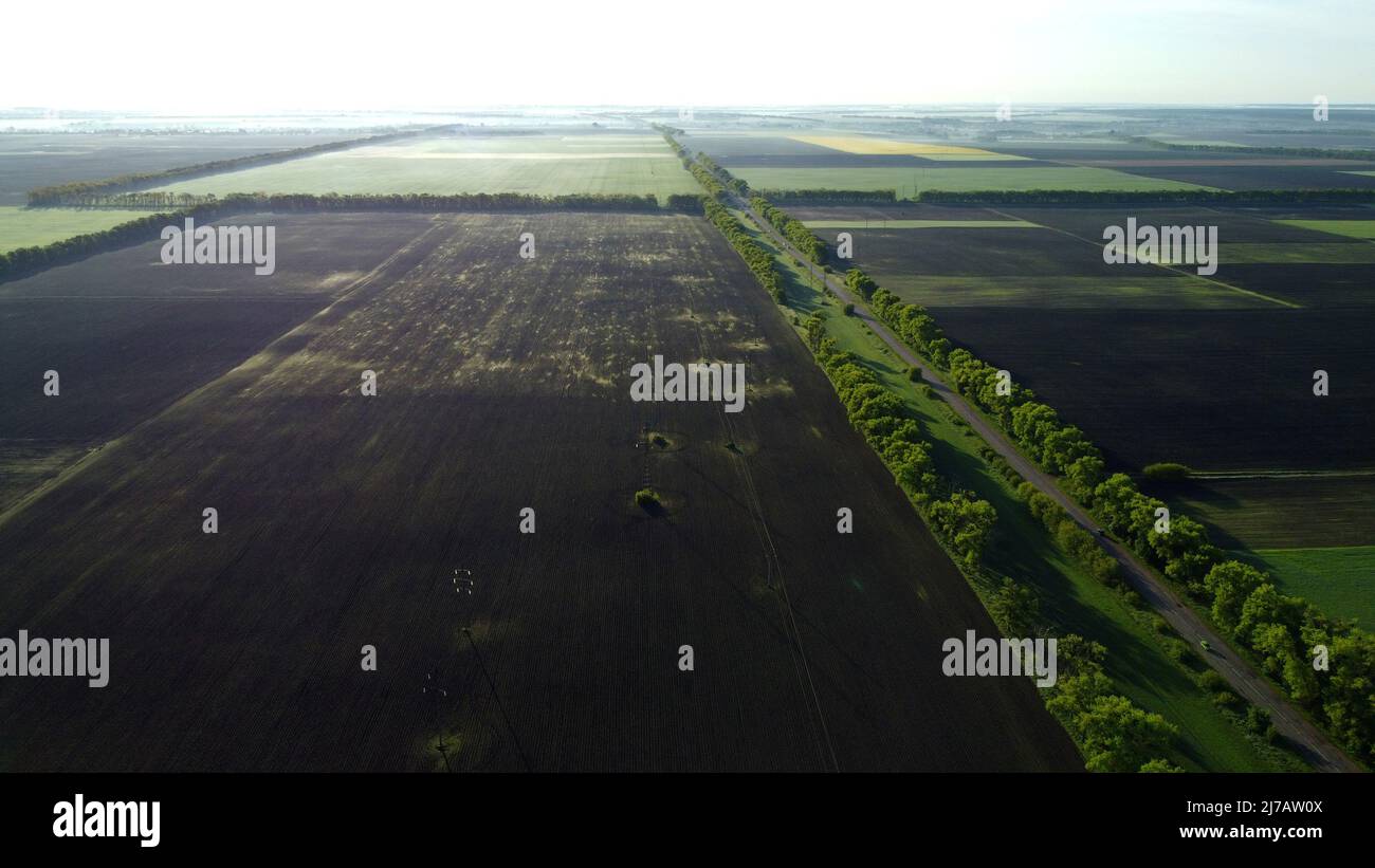 Fields in early spring summer morning from great height. Aerial drone view Stock Photo