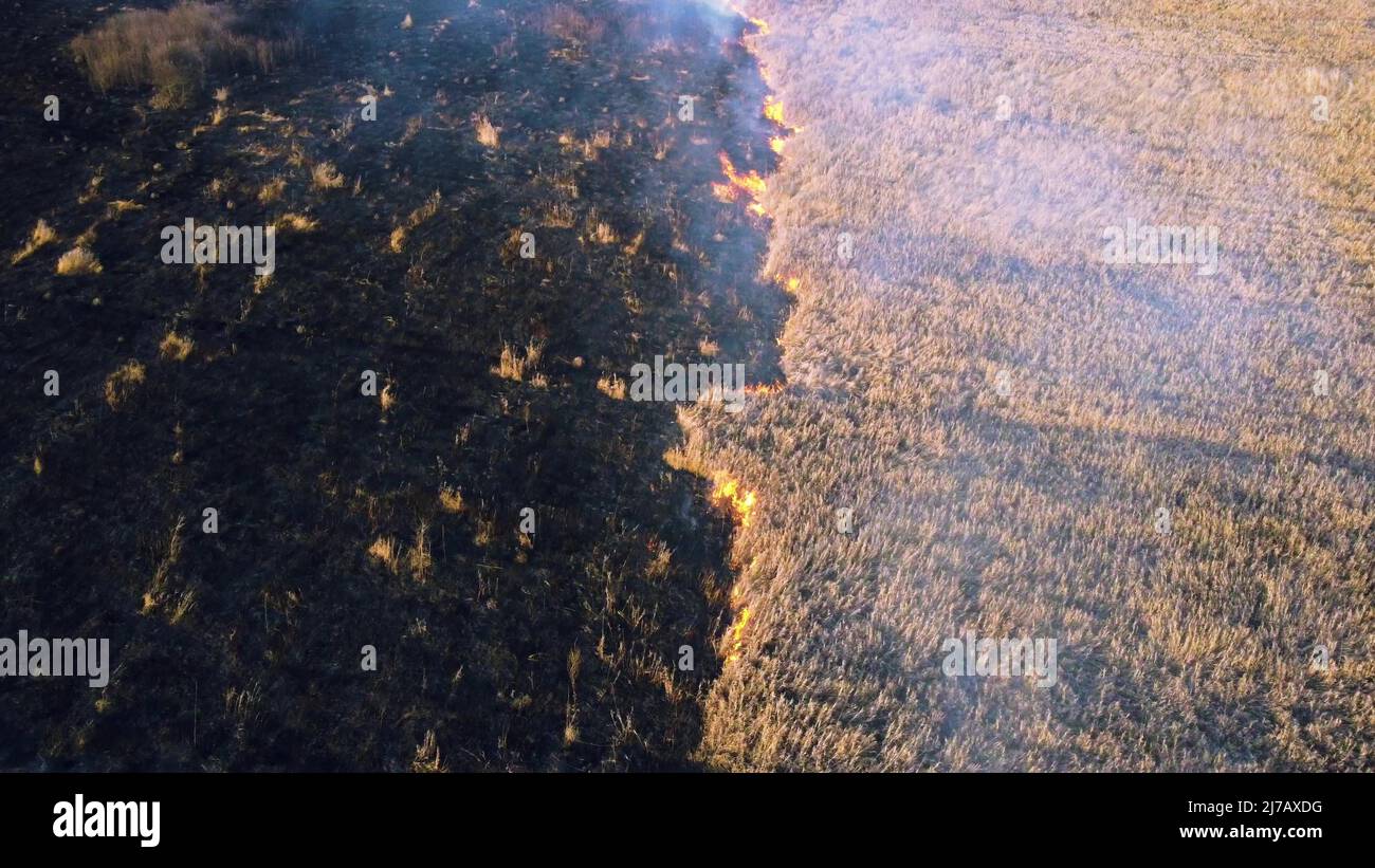 Aerial Drone View two firefighters putting out fire in field with dry grass Stock Photo Alamy