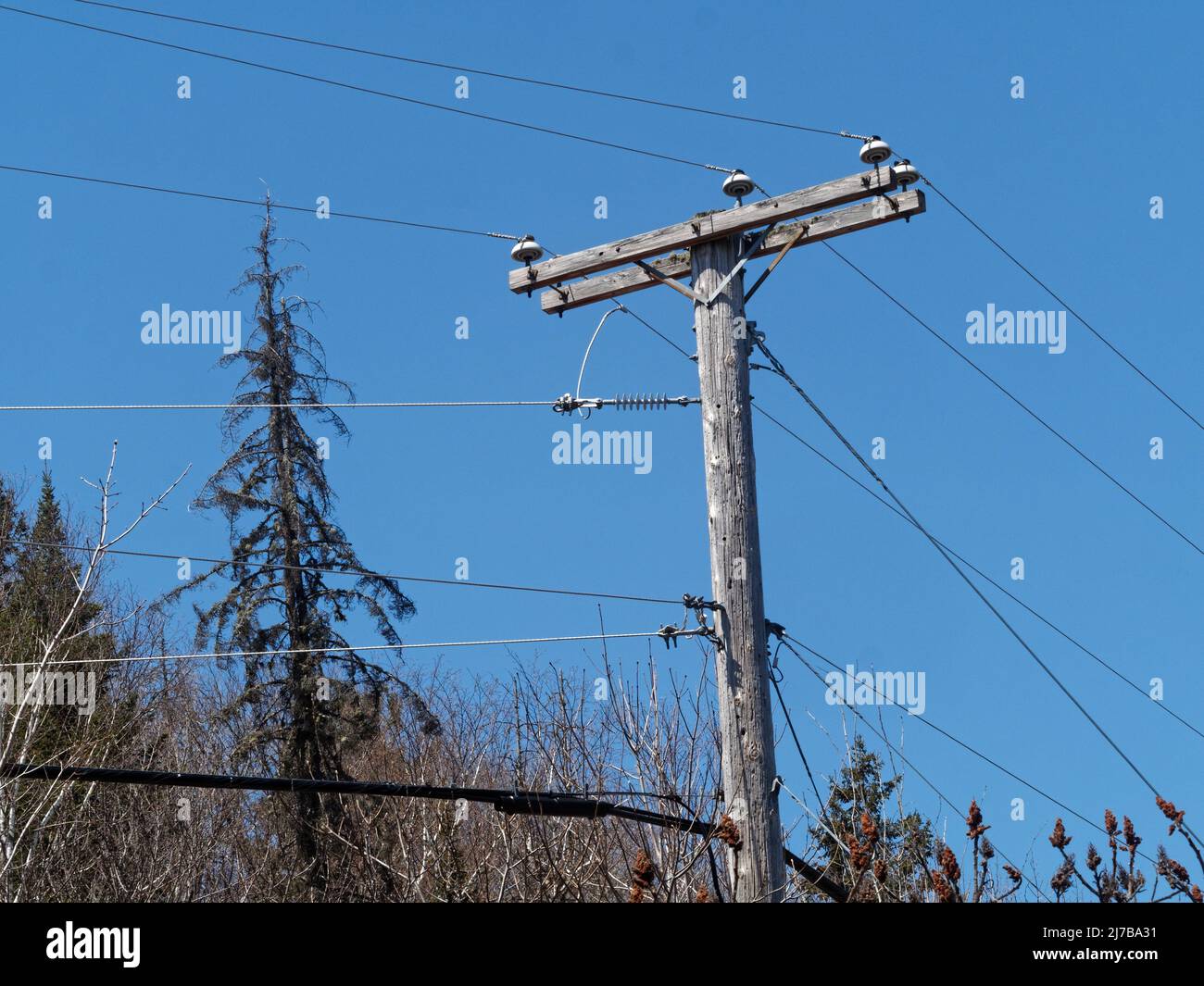 Wood utility pole for electric wires an d communication cable.  Quebec,Canada Stock Photo - Alamy