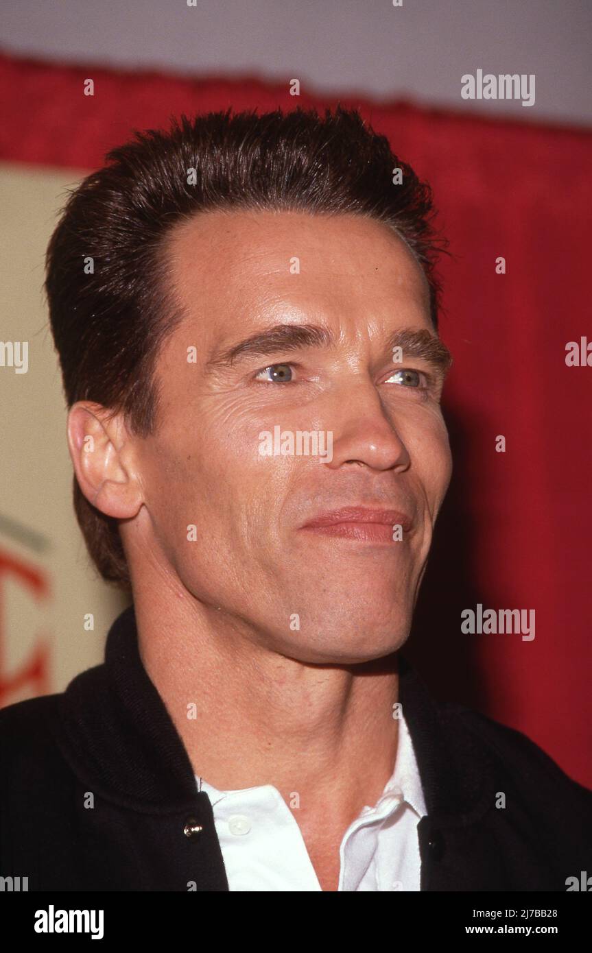 Arnold Schwarzenegger Circa 1980's Credit: Ralph Dominguez/MediaPunch