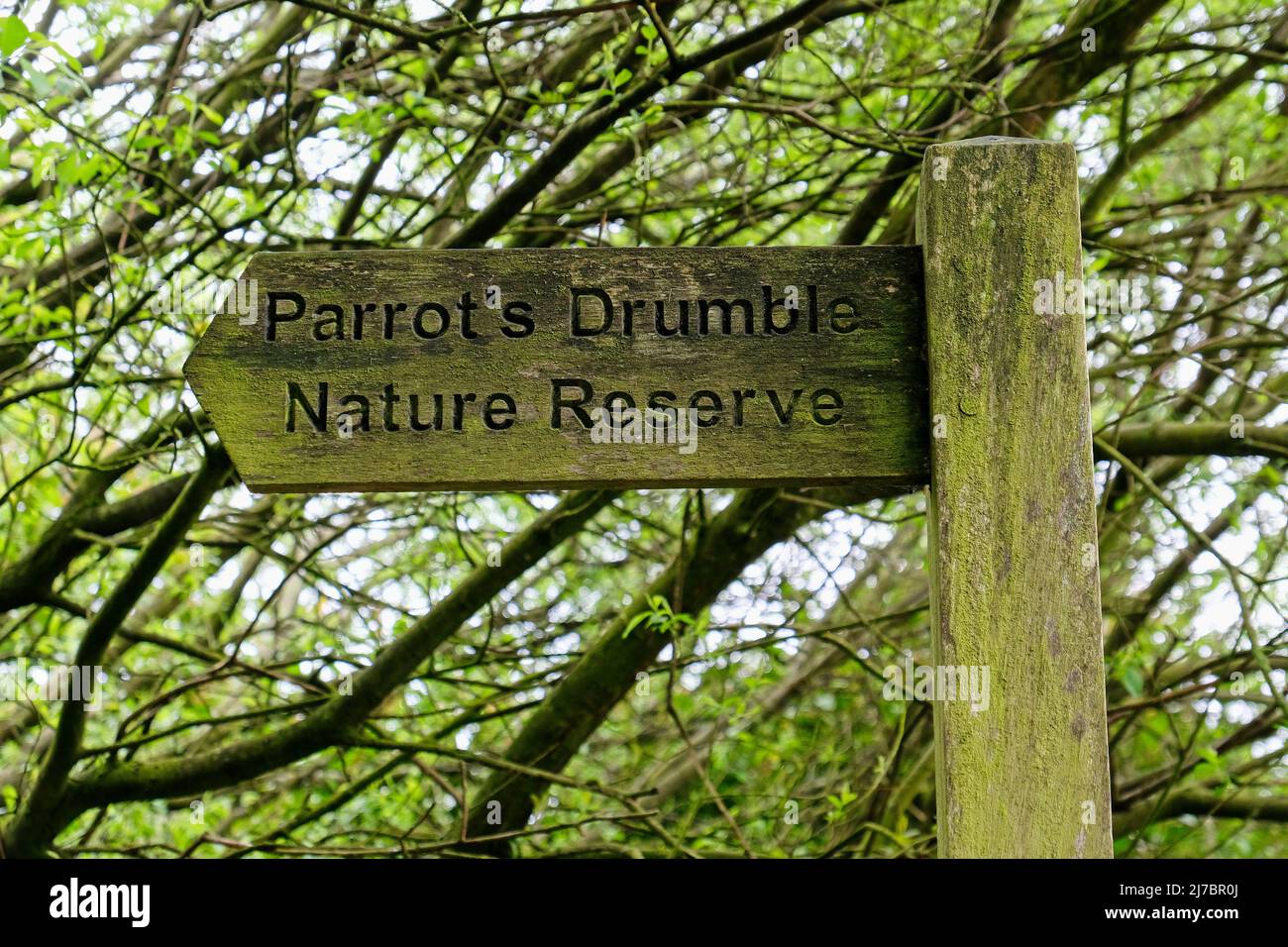 Parrot's Drumble Nature Reserve Stock Photo