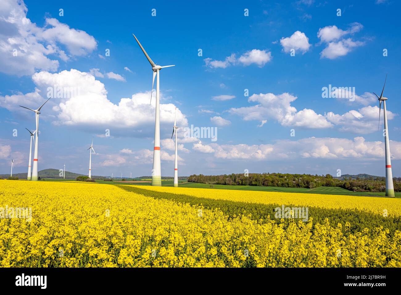 Wind turbines in a blooming rape field seen in Germany Stock Photo