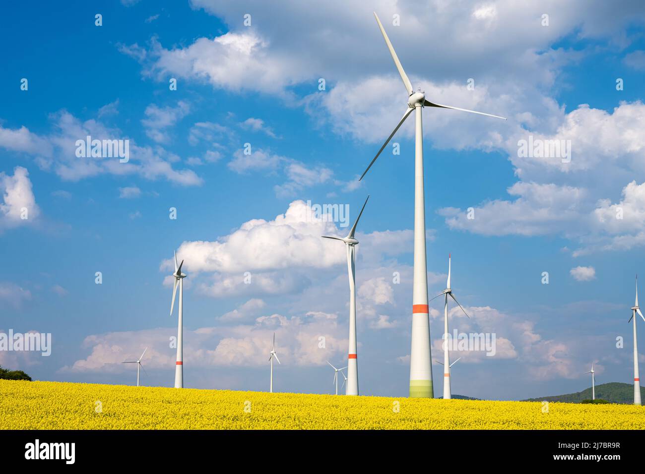 Wind turbines in a blooming rape seed field seen in Germany Stock Photo